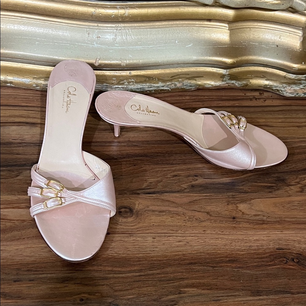 Cole Haan Blush Leather Heels with Gold Accents